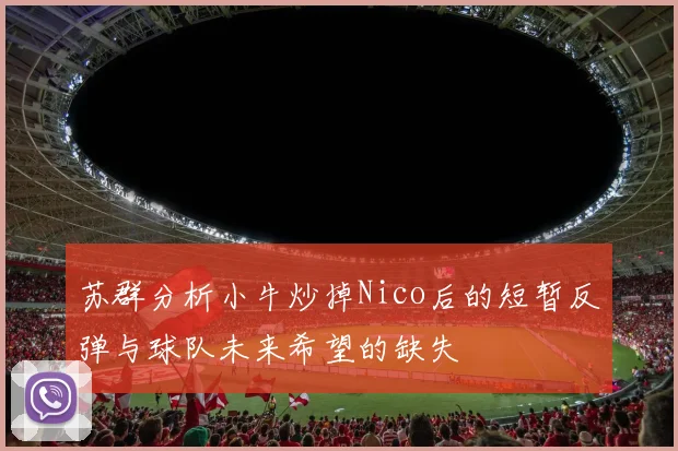 苏群分析小牛炒掉Nico后的短暂反弹与球队未来希望的缺失
