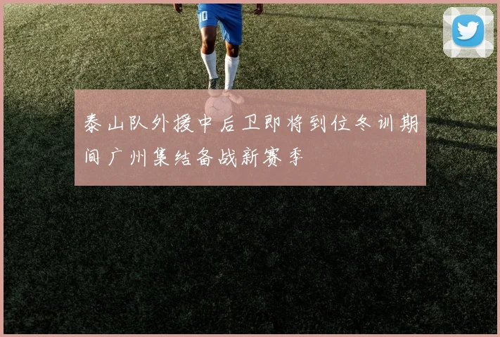 泰山队外援中后卫即将到位冬训期间广州集结备战新赛季