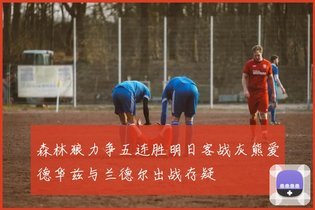 森林狼力争五连胜明日客战灰熊爱德华兹与兰德尔出战存疑