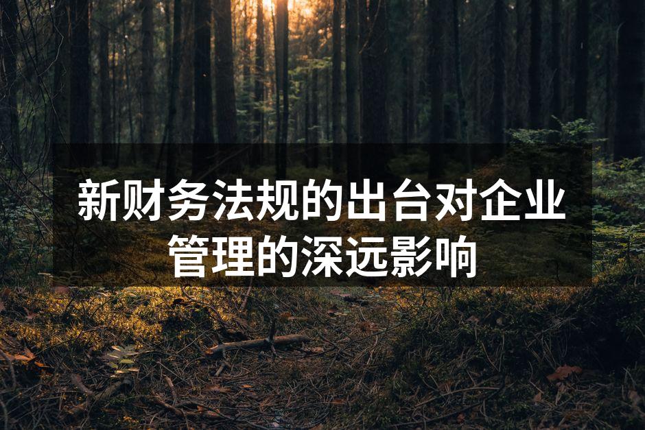 新财务法规的出台对企业管理的深远影响