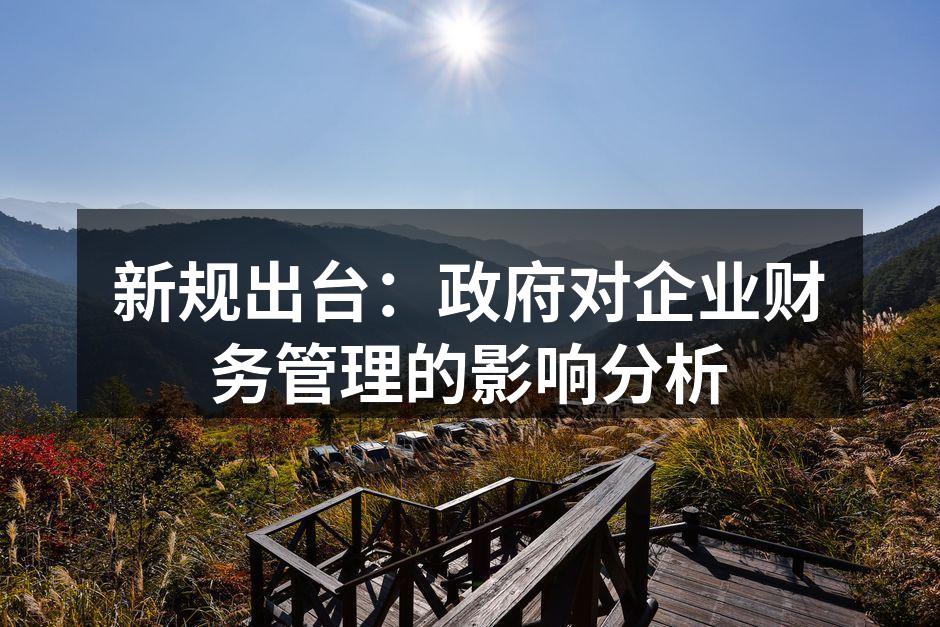 新规出台：政府对企业财务管理的影响分析